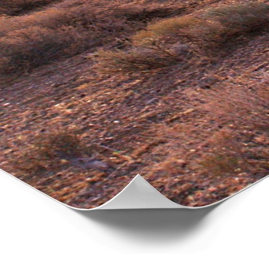 Nevada Pyramid Lake Sunrise Poster (Ecke)