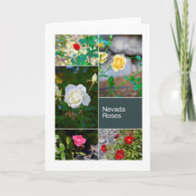 Nevada-Rosen in Reno parkt Fotocollage