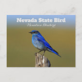 Nevada Staat Bird Postkarte (Vorderseite)