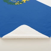 Nevada State Flag Print Patriotic Sherpadecke (3/4)