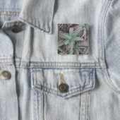 Nevada sukculi button (Beispiel)
