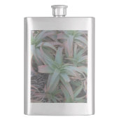 Nevada sukculi flachmann (Vorderseite)