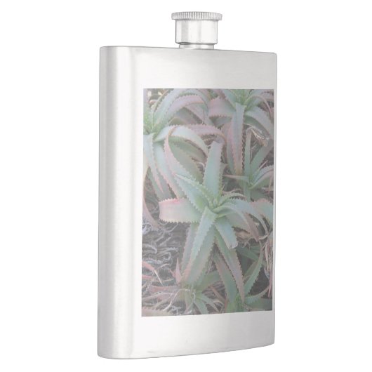 Nevada sukculi flachmann (Rechts)