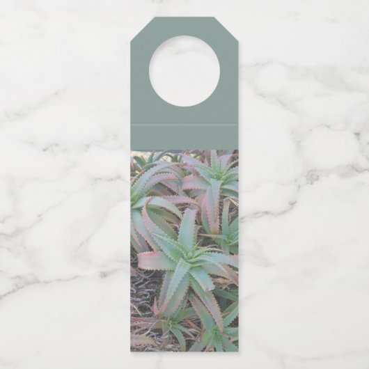 Nevada sukculi flaschenanhänger (Rückseite)