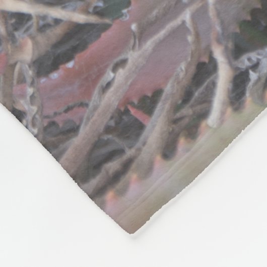 Nevada sukculi fleecedecke (Ecke)