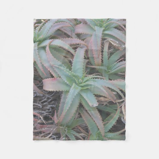 Nevada sukculi fleecedecke (Vorderseite)