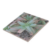 Nevada sukculi fliese (Seite)