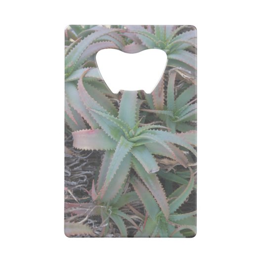 Nevada sukculi geldbeutel flaschenöffner (Vorderseite)