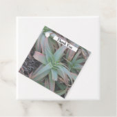 Nevada sukculi geschenkanhänger (Beispiel)