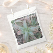 Nevada sukculi geschenktütchen (Ausgeschnitten)