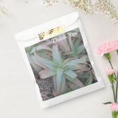 Nevada sukculi geschenktütchen (Versiegelt)