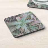 Nevada sukculi getränkeuntersetzer (Linke Seite)