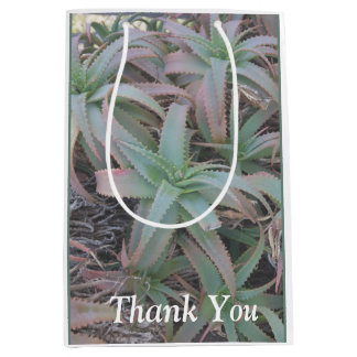 Nevada sukculi mittlere geschenktüte