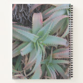 Nevada sukculi notizblock (Rückseite)