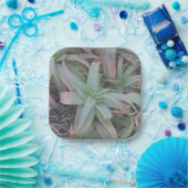 Nevada sukculi pappteller (Party)