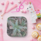 Nevada sukculi pappteller (Party)