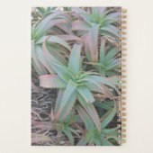 Nevada sukculi planer (Rückseite)