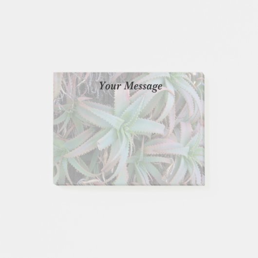 Nevada sukculi post-it klebezettel (Vorderseite)