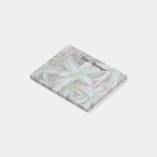 Nevada sukculi post-it klebezettel (angewinkelt)