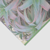 Nevada sukculi seidenpapier (Ausschnitt)