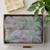 Nevada sukculi seidenpapier (Geschenk)