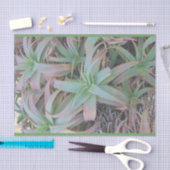 Nevada sukculi seidenpapier (Handwerk)