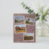 Nevada - Tal der Feuerwüste Collage Postkarte (Stehend Vorderseite)