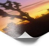 NEVADA. USA. Joshua-Bäume Yucca brevifolia) Fotodruck (Ecke)