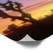 NEVADA. USA. Joshua-Bäume Yucca brevifolia) Poster (Ecke)