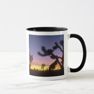 NEVADA. USA. Joshua-Bäume Yucca brevifolia) Tasse
