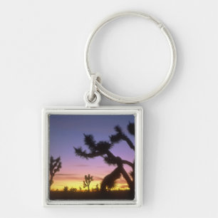 NEVADA. USA. Josua-Bäume Yucca brevifolia) Schlüsselanhänger