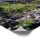 Neveda Falls Poster (Ecke)