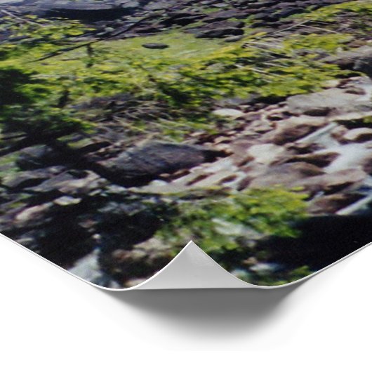 Neveda Falls Poster (Ecke)