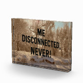 Never Not Connected — Forest Block (Rechts)