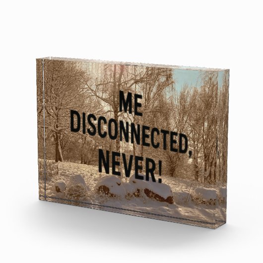 Never Not Connected — Forest Block (Rechts)