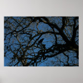 Nevermore Poster (Vorne)