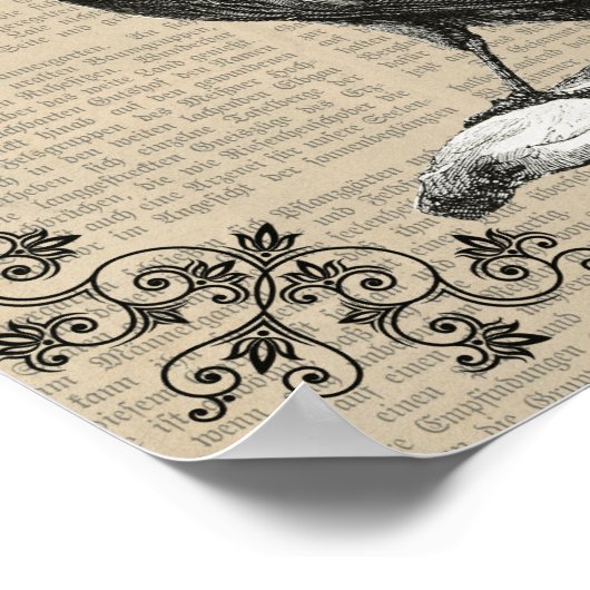 Nevermore, Raven, Edgar Allan Poster (Ecke)