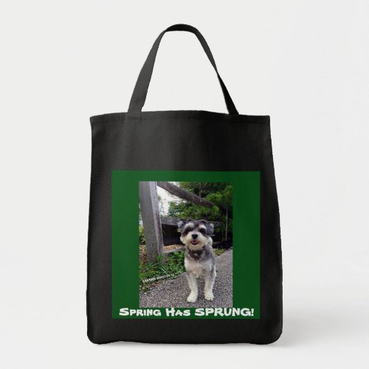 *NEW* 2015 Frühling ist ENTSPRUNGEN! Karmin Tragetasche (Vorne)