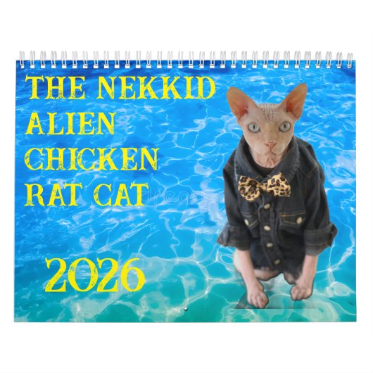 New 2026 Calendar Kalender (Titelbild)