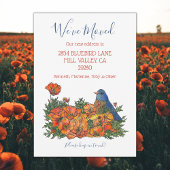 New Address Ankündigung von Bluebird