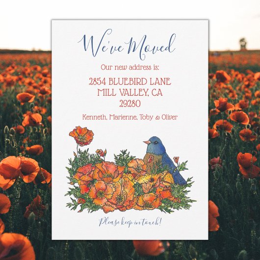 New Address Ankündigung von Bluebird