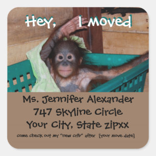 New Address Monkey BUsiness Quadratischer Aufkleber