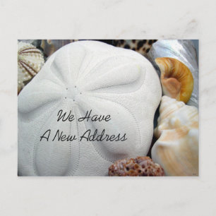 New Address Sea Biscuit Ankündigungspostkarte