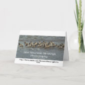 "New Babe in the Woods" - Glückwünsche Karte (Rückseite)