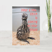 New Baby Emu BY 3-z Ankündigung (Vorderseite)