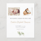 New Baby Eucalyptus Greenerity Geburtserklärung (Rückseite)