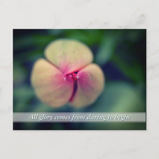 New Beginnings Spring Tulip Blume Postkarte (Vorderseite)