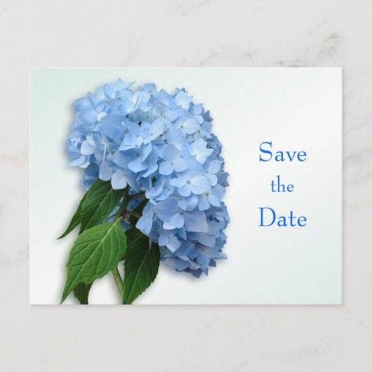 New Blue Hydrangea Wedding Save the Date Postcard Ankündigungspostkarte (Vorderseite)