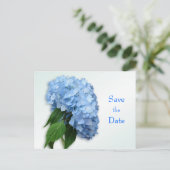 New Blue Hydrangea Wedding Save the Date Postcard Ankündigungspostkarte (Stehend Vorderseite)