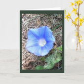 New Blue Morning Glory Blank Karte (Gelbe Blume)